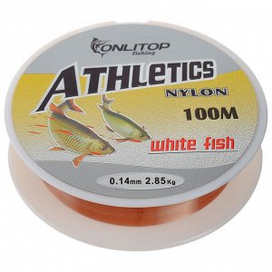 Леска White fish, d=0,14 мм, 100 м