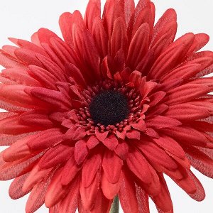 СМИККА Цветок искусственный, Гербера, красный, 50 см