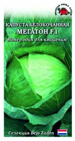 Капуста б/к Мегатон F1 ЦВ/П (Сотка) 10шт среднепоздний