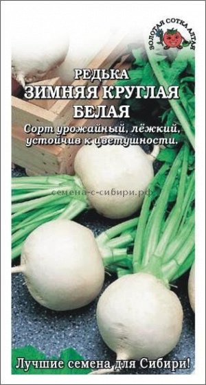 Редька Зимняя круглая БЕЛАЯ ЦВ/П (Сотка) 1гр среднеспелый