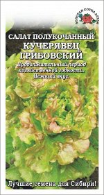 Салат Кучерявец Грибовский ЦВ/П (СОТКА) 0,5гр среднеспелый полукочанный