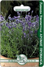 Лаванда узколистная Аромат Прованса 20 шт.Компактная форма лаванды  с синими, душистыми, цветками, собранными в колосовидные соцветия.