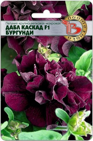 Петуния Дабл Каскад F1 Бургунди (махровая)
