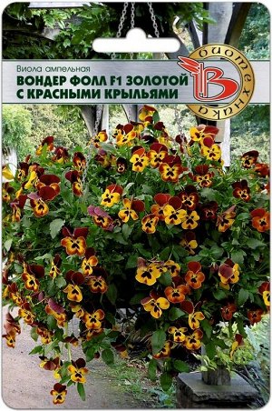 Виола ампельная Вондер Фолл F1 Золотой с красными крыльями