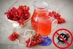 Сок лимонника натуральный  (УКРЕПЛЕНИЕ ИММУНИТЕТА)