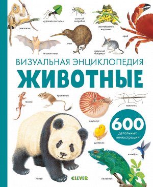 РВм19. Любимая детская энциклопедия. Животные. Визуальная энциклопедия/Бадреддин Д.