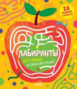 ВВИ20. Лабиринты. Лабиринты для ловких и сообразительных/Кошечкина Женя