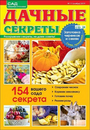 Журнал САД СВОИМИ РУКАМИ. ДАЧНЫЕ СЕКРЕТЫ №11/2019