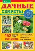 Журнал САД СВОИМИ РУКАМИ. ДАЧНЫЕ СЕКРЕТЫ №09/2019 32стр., 180х230 мм, _