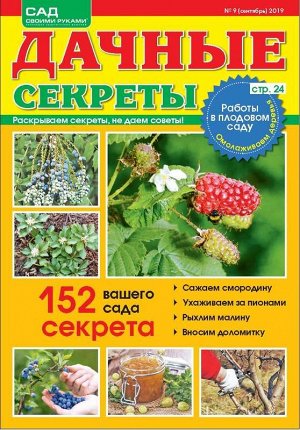 Журнал САД СВОИМИ РУКАМИ. ДАЧНЫЕ СЕКРЕТЫ №09/2019 32стр., 180х230 мм, _