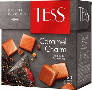 Чай Тесс пирамида Caramel Charm