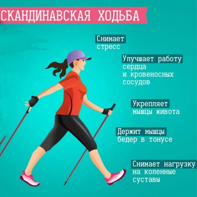 -50% на палки для скандинавской ходьбы! Всё для спорта!