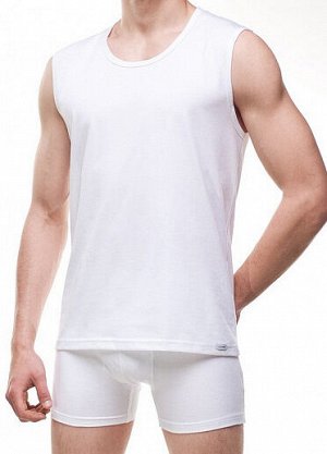 Футболка Мужская футболка AUTHENTIC, от европейского производителя Cornette. Изготовлена из дышащего хлопка. Приспосабливается к телу, обеспечивает комфорт в течении всего дня. Подходит для занятий сп