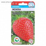 Семена Клубника &quot;Женева&quot;, 10 шт