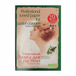 Папка для пастели А4, 20 листов "Профессиональная серия", блок 6 цветов, 150-230 г/м2