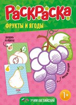 Фрукты и ягоды. Раскраска для малышей с цветным контуром.