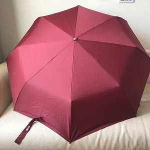 Зонт с усиленным каркасом
