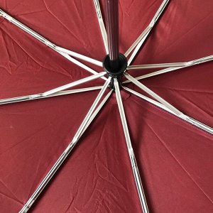 Зонт с усиленным каркасом
