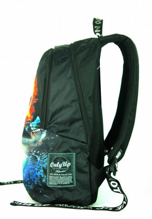 Рюкзак Легкий молодежный рюкзак с ярким принтом. Благодаря плотным лямкам и дышащей спинке может использоваться, как рюкзак для школы, в средних и старших классах, а также для спортивных тренировок де