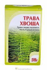 Хвощ полевой трава