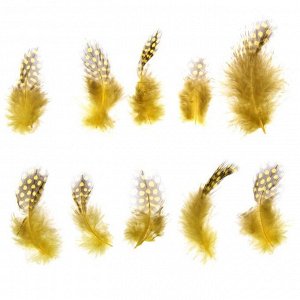 Набор перьев для декора 10 шт., размер 1 шт: 5 ? 2 см, цвет жёлтый с коричневым