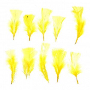 Набор перьев для декора 10 шт., размер 1 шт: 10 ? 4 см, цвет жёлтый