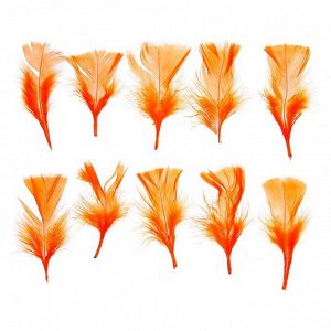 Набор перьев для декора 10 шт., размер 1 шт: 10 ? 4 см, цвет оранжевый
