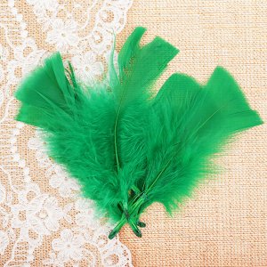 Набор перьев для декора 10 шт., размер 1 шт: 10 ? 4 см, цвет светло зелёный