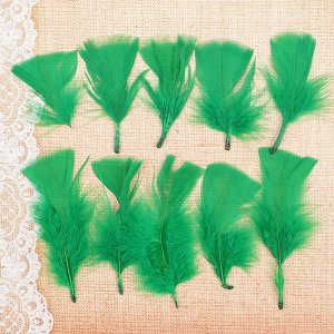 Набор перьев для декора 10 шт., размер 1 шт: 10 ? 4 см, цвет светло зелёный
