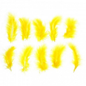 Набор перьев для декора 10 шт., размер 1 шт: 10 ? 2 см, цвет жёлтый