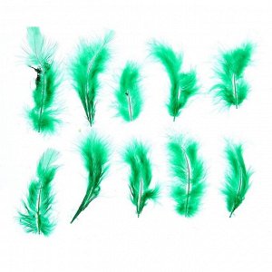 Набор перьев для декора 10 шт., размер 1 шт: 10 ? 2 см, цвет зелёный
