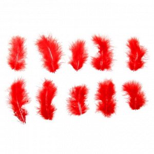 Набор перьев для декора 10 шт., размер 1 шт: 10 ? 2 см, цвет красный