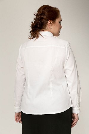 Блуза 40807-2106
