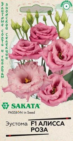Эустома (лизиантус) Алисса роза F1 (крупноцветковая)