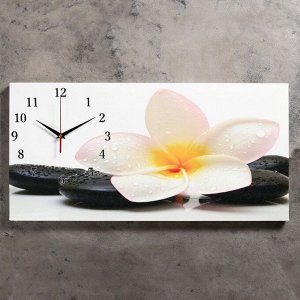 Часы-картина настенные, серия: Цветы, "Белый цветок на камнях", 40 х 76 см, микс