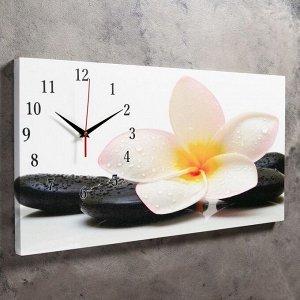 Часы-картина настенные, серия: Цветы, "Белый цветок на камнях", 40 х 76 см