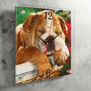 Часы настенные, серия: Животный мир, "Спящий бульдог", 35х35 см