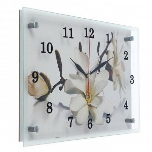 Часы настенные, серия: Цветы, "Орхидея", 25х35  см, в ассортименте