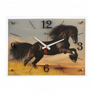 Часы настенные, серия: Животный мир, "Чёрный конь", 40х56 см в ассортименте