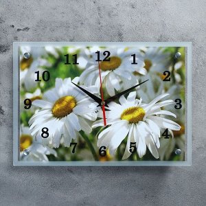 Часы настенные, серия: Цветы, "Полевые ромашки", 25х35 см, микс