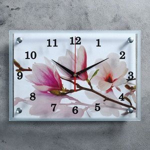 Часы настенные, серия: Цветы, "Бело-сиреневые цветы", 25х35 см