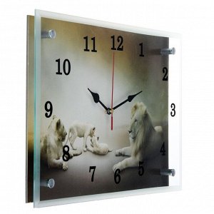 Часы настенные, серия: Животный мир, "Белые львы"25х35см, стрелки микс