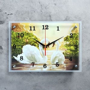 Часы настенные прямоугольные "Лебеди", 25х35 см