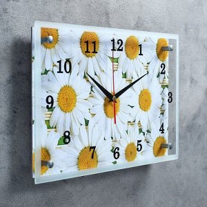 Часы настенные, серия: Цветы, "Ромашки", 25х35  см, в ассортименте