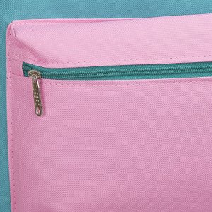 Рюкзак молодёжный, отдел на молнии, наружный карман, цвет бирюзовый/розовый