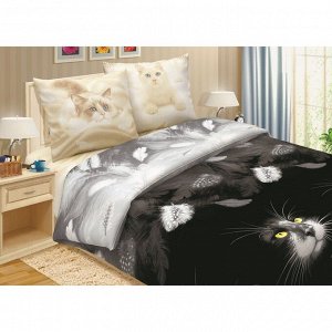 Комплект постельного белья Кошки