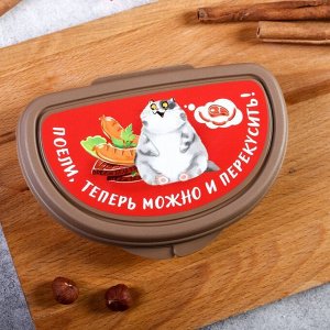 ТНП Бутербродница «Кот», 200 мл