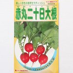 Hatsuka красная редиска