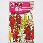 Antirrhinum majus - львинный зев большой