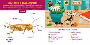 Визуальные словари. Животные /Парамонова А.